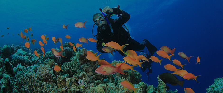 Buceo en Mexico