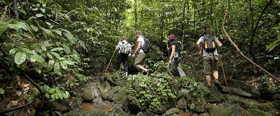 Mexico Hiking Trails