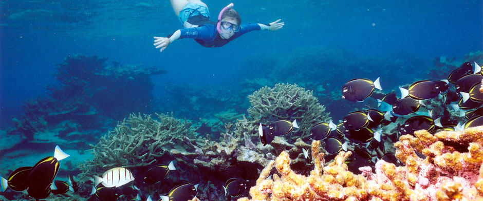 Puerto Escondido Snorkeling