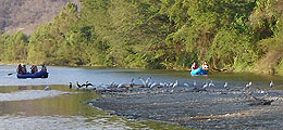 Family Rafting Trips Huatulco