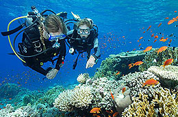 PADI mexico